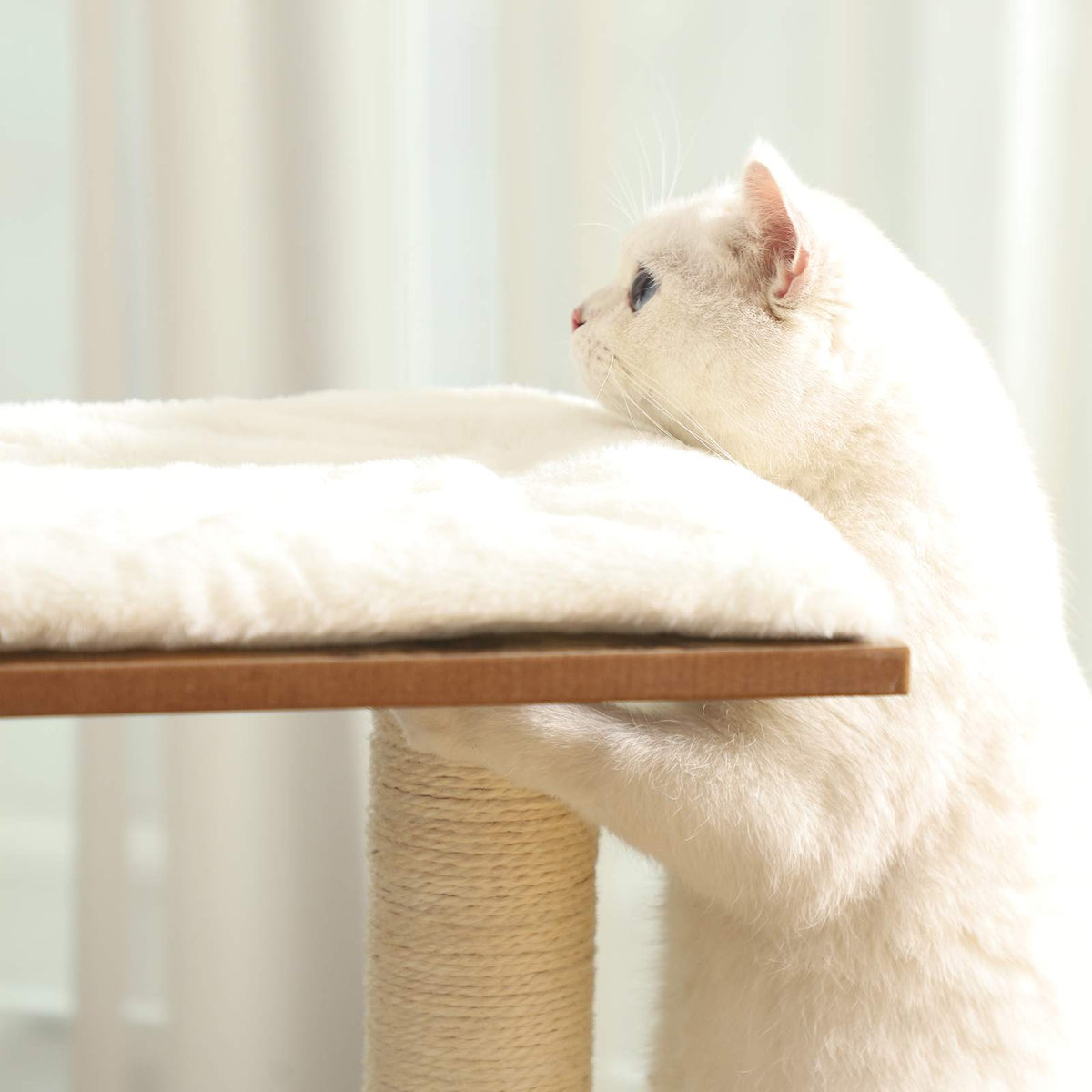 Kompakter Kratzbaum – Stilvoll und praktisch für Ihre Katzen