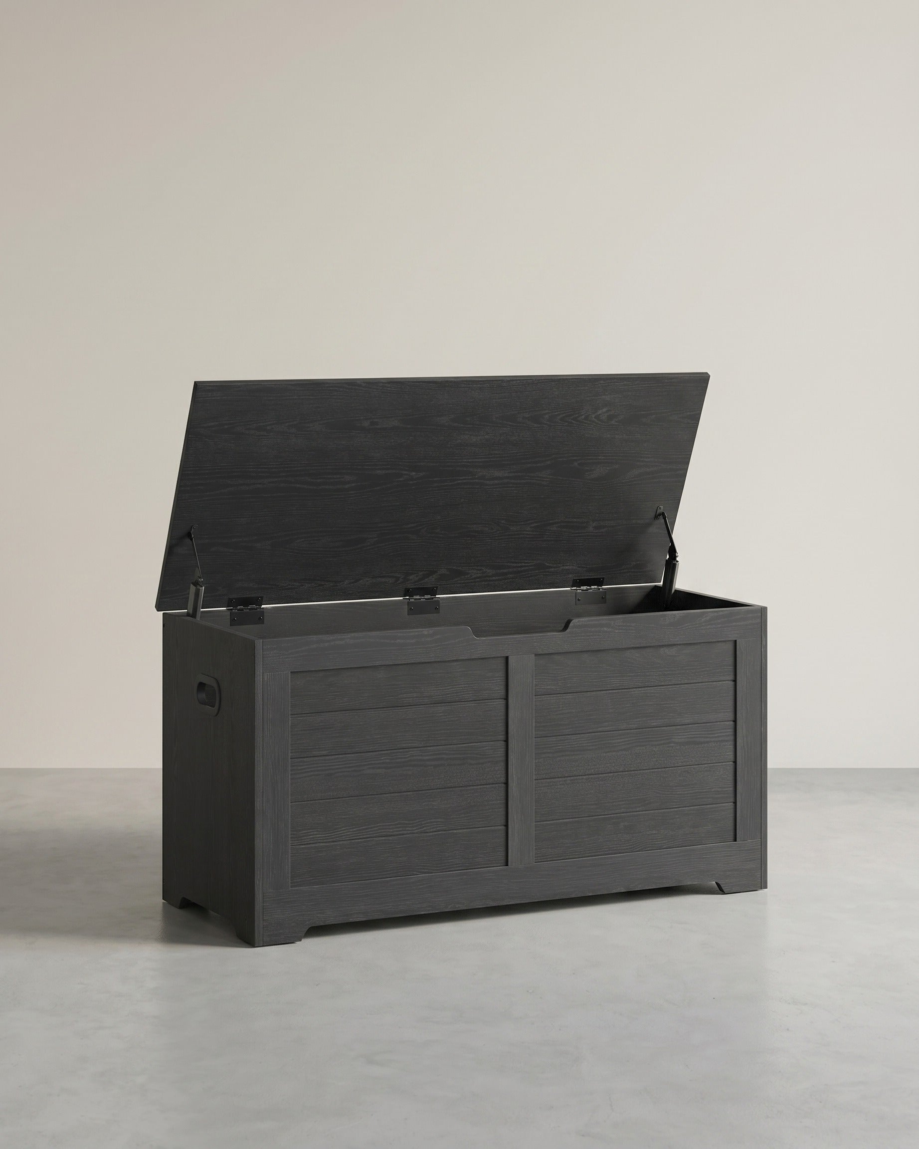 Aufbewahrungsbank mit Deckel – Schuhbank – Sitzbank mit hoher Tragkraft – Für Flur, Schlafzimmer oder Wohnzimmer – Schwarz
