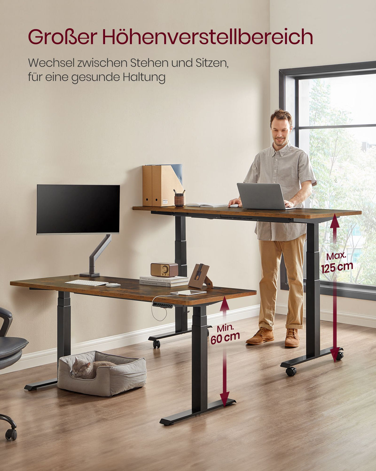 Elektrisches Sitz-Steh-Schreibtischgestell – Doppelmotor – Höhen- und breitenverstellbar – Bis 100 kg Tragkraft – Mit Controller, USB-Anschluss und Rollen