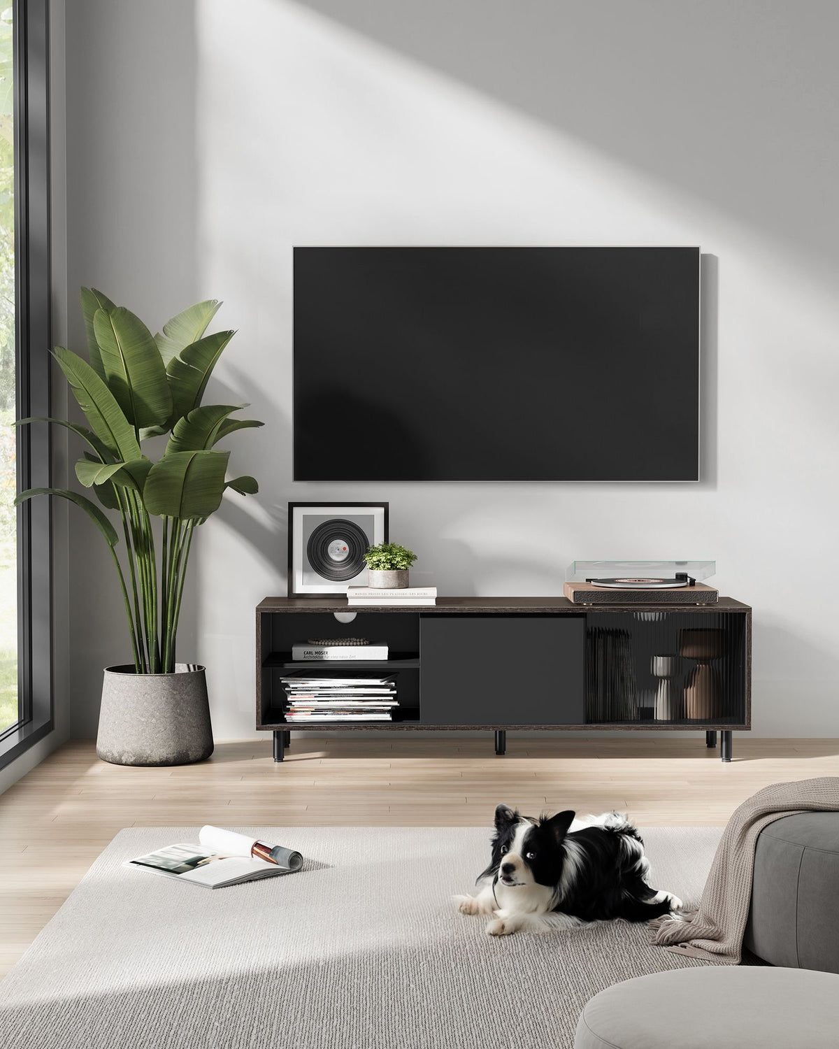 TV-Schrank für Fernseher bis 60 Zoll – modern Schwarz/Weiß mit Glastür – werkzeuglose Montage – TV-Lowboard mit Stauraum