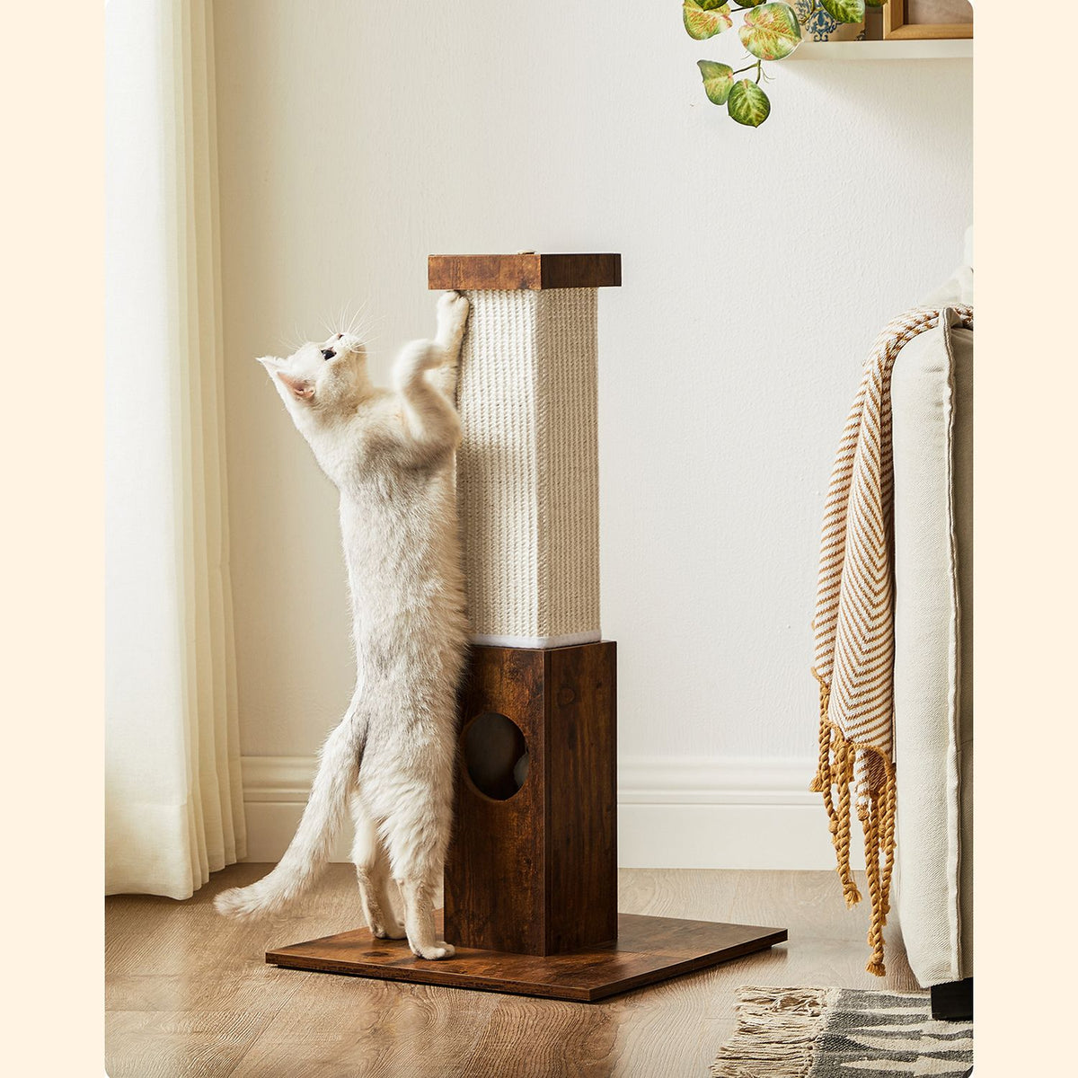 Katzenkratzbaum – 73 cm hoch – Sisalseil – Rutschfeste Unterseite – Schützt Möbel