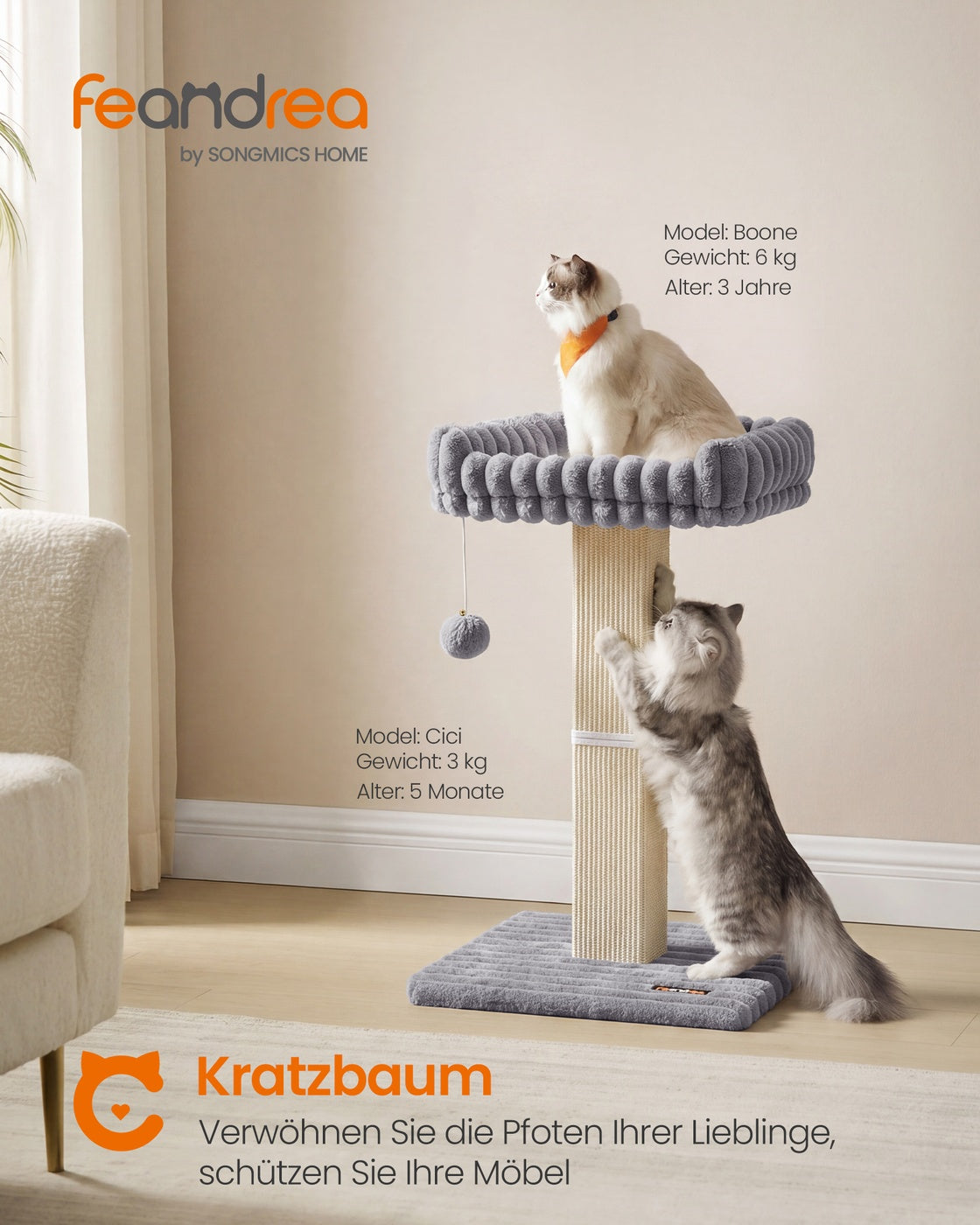 Kratzbaum Mit Erhöhtem Liegeplatz - Stabile Sisal-Kratzsäule - Inklusive Spielball