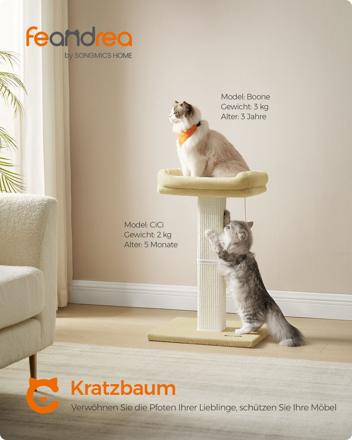 Kratzbaum Mit Erhöhtem Liegeplatz - Stabile Sisal-Kratzsäule - Inklusive Spielball