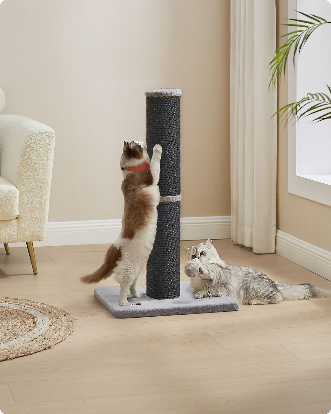 Katzenkratzbaum – 85 cm hoch – Extra dicker Sisalstamm – Stabiler Standfuß – Mit Spielball