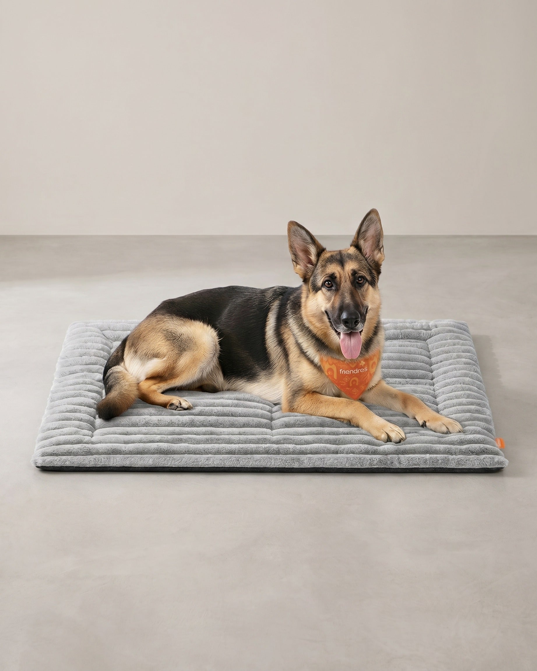 Hundebett – Waschmaschinenfest – Verschiedene Größen – Gerippt – PP-Füllung