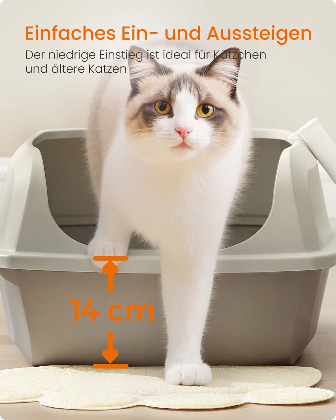 Katzentoilette – Offen – Hohe Ränder – XXL – Material PP