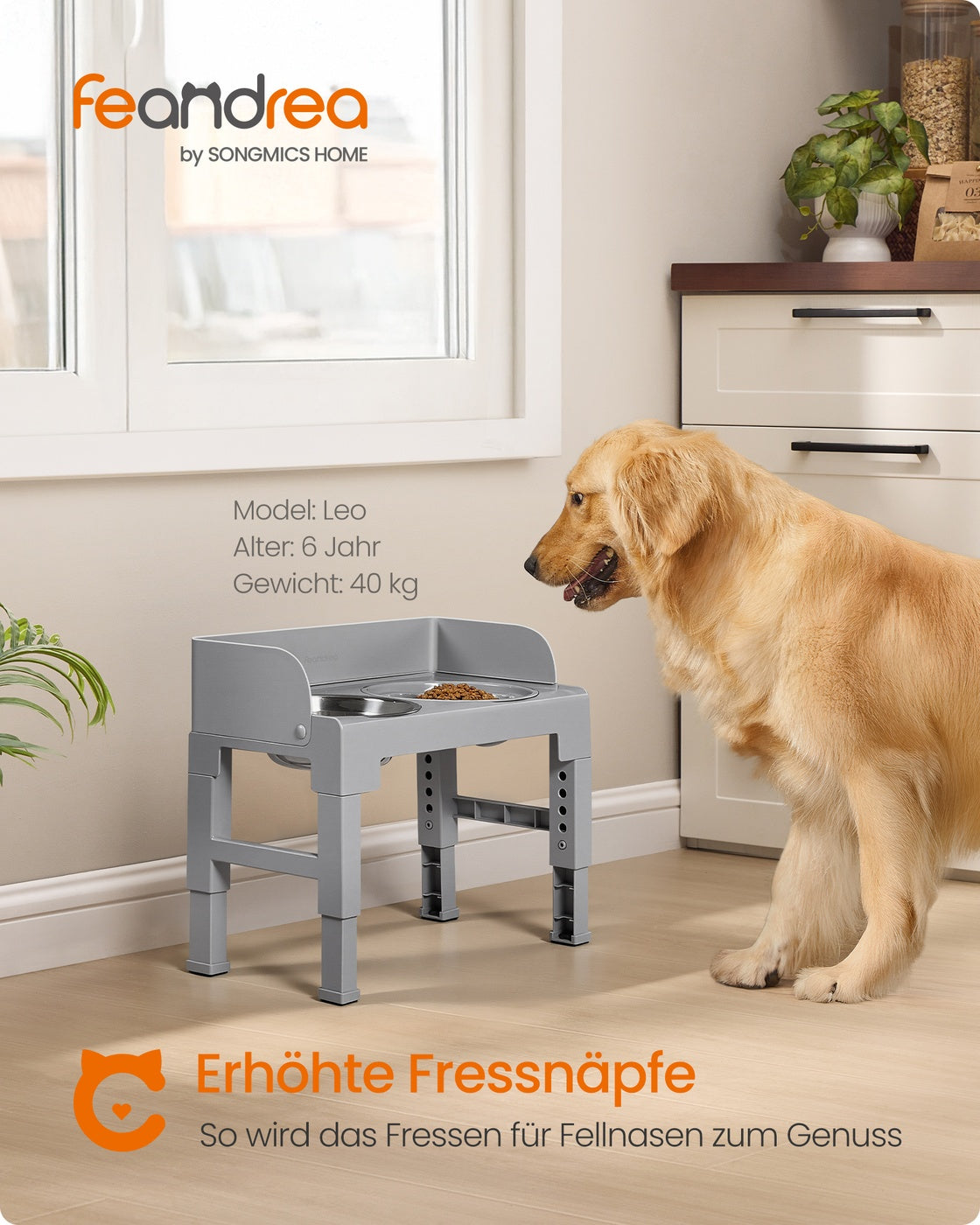 Verstellbarer Hundenapf – 6 Höhen – mit Futter- und Wassernäpfen aus Edelstahl – rutschfest und faltbar – mit Anti-Fress-Napf