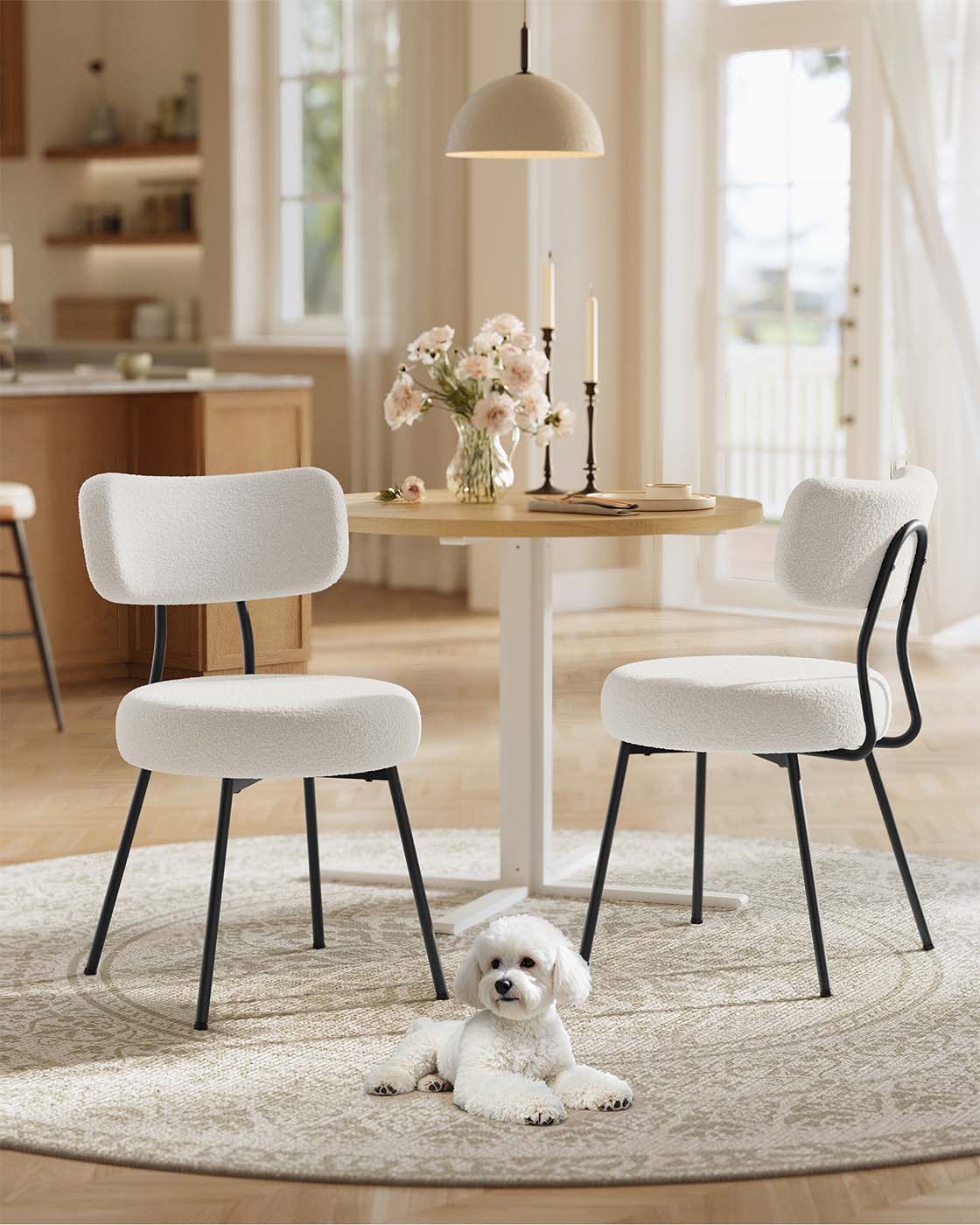 Moderne Esszimmerstühle – 2er-Set – Mit Vlies gepolstert – Runde Sitzfläche mit Rückenlehne