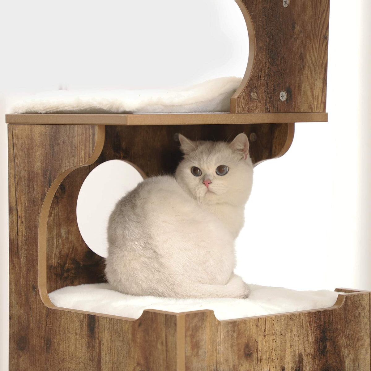 Kompakter Kratzbaum – Stilvoll und praktisch für Ihre Katzen