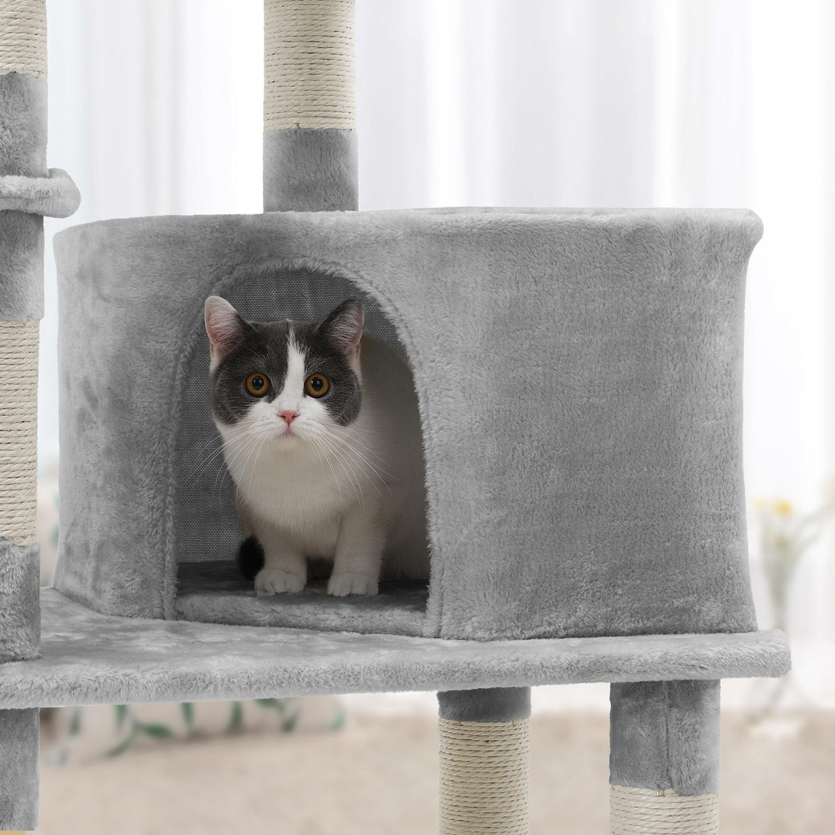 Kompakter Kratzbaum von – Katzenbaum mit Hängematte, Kratzstämmen und Spielbällen für mehrere Katzen