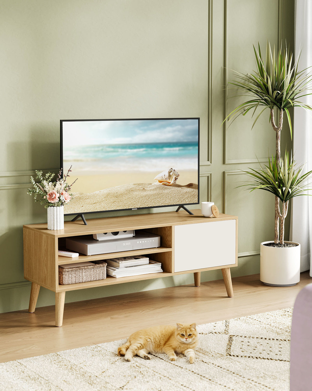 TV-Möbel – 1 Tür – 40 x 120 x 49 cm – Skandinavisch – für TVs bis 55 Zoll