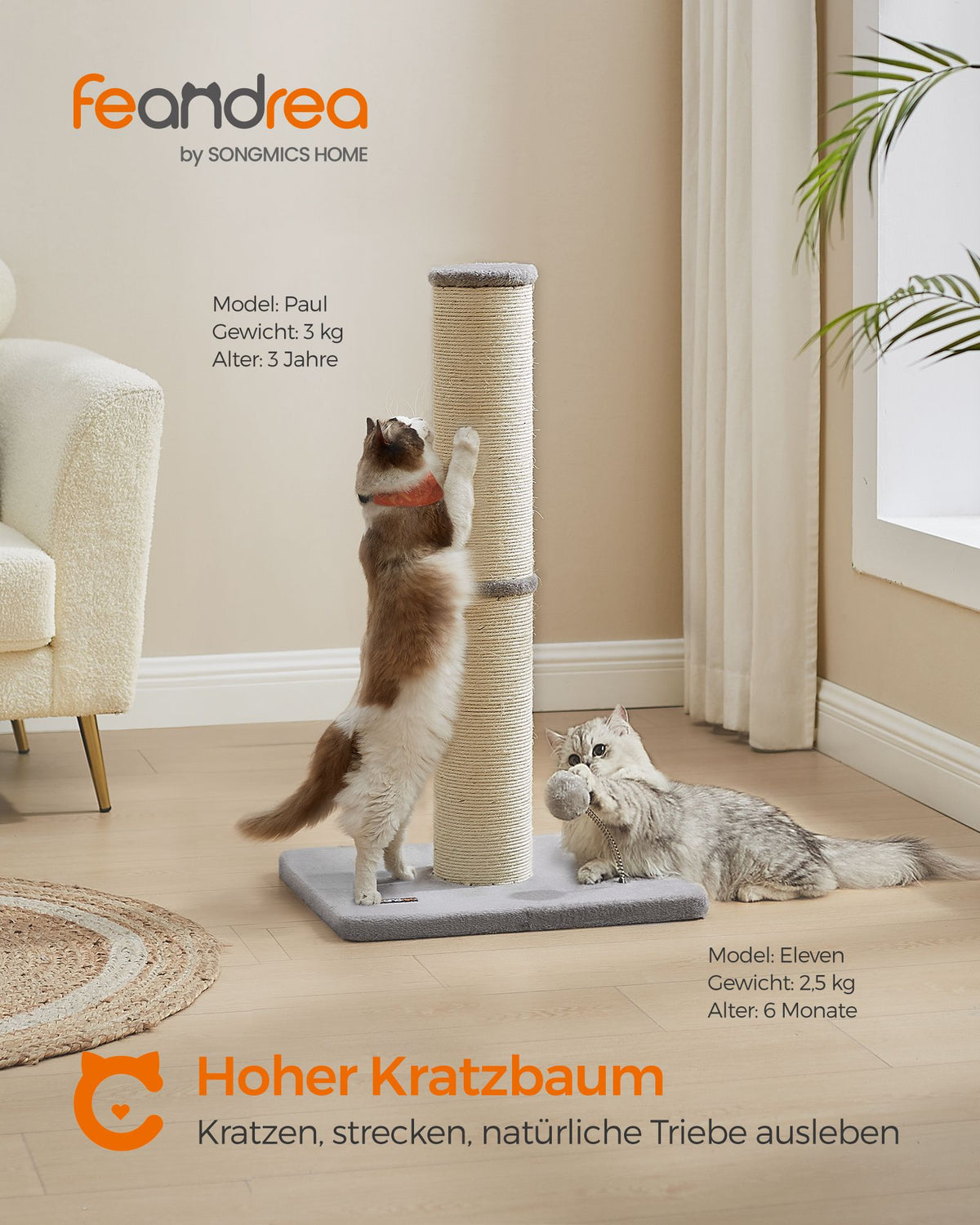Katzenkratzbaum – 85 cm hoch – Extra dicker Sisalstamm – Stabiler Standfuß – Mit Spielball