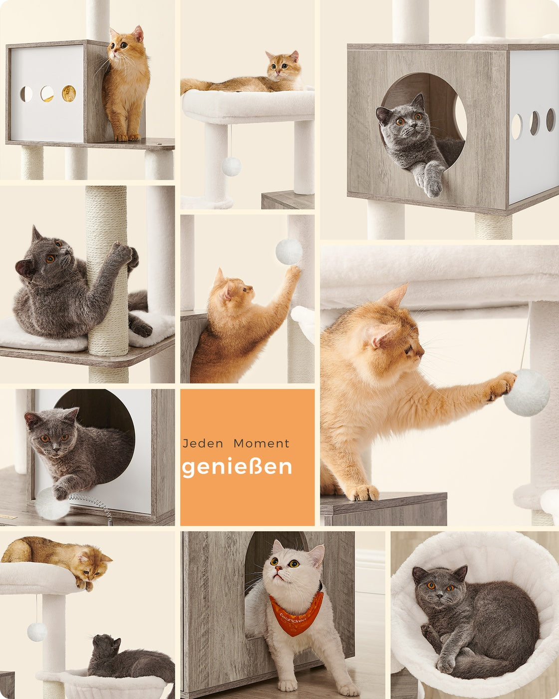 Kratzbaum – Integrierte Katzentoilette – 178 cm Hoch – Spanplatte – Plüsch – Sisal – 100 x 61 x 178 cm
