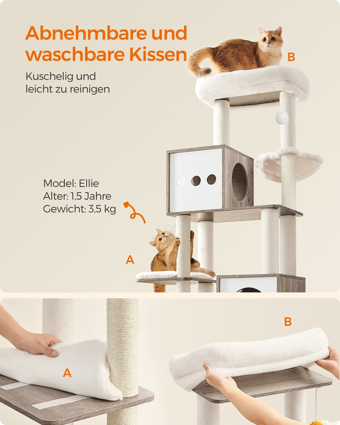 Kratzbaum – Integrierte Katzentoilette – 178 cm Hoch – Spanplatte – Plüsch – Sisal – 100 x 61 x 178 cm