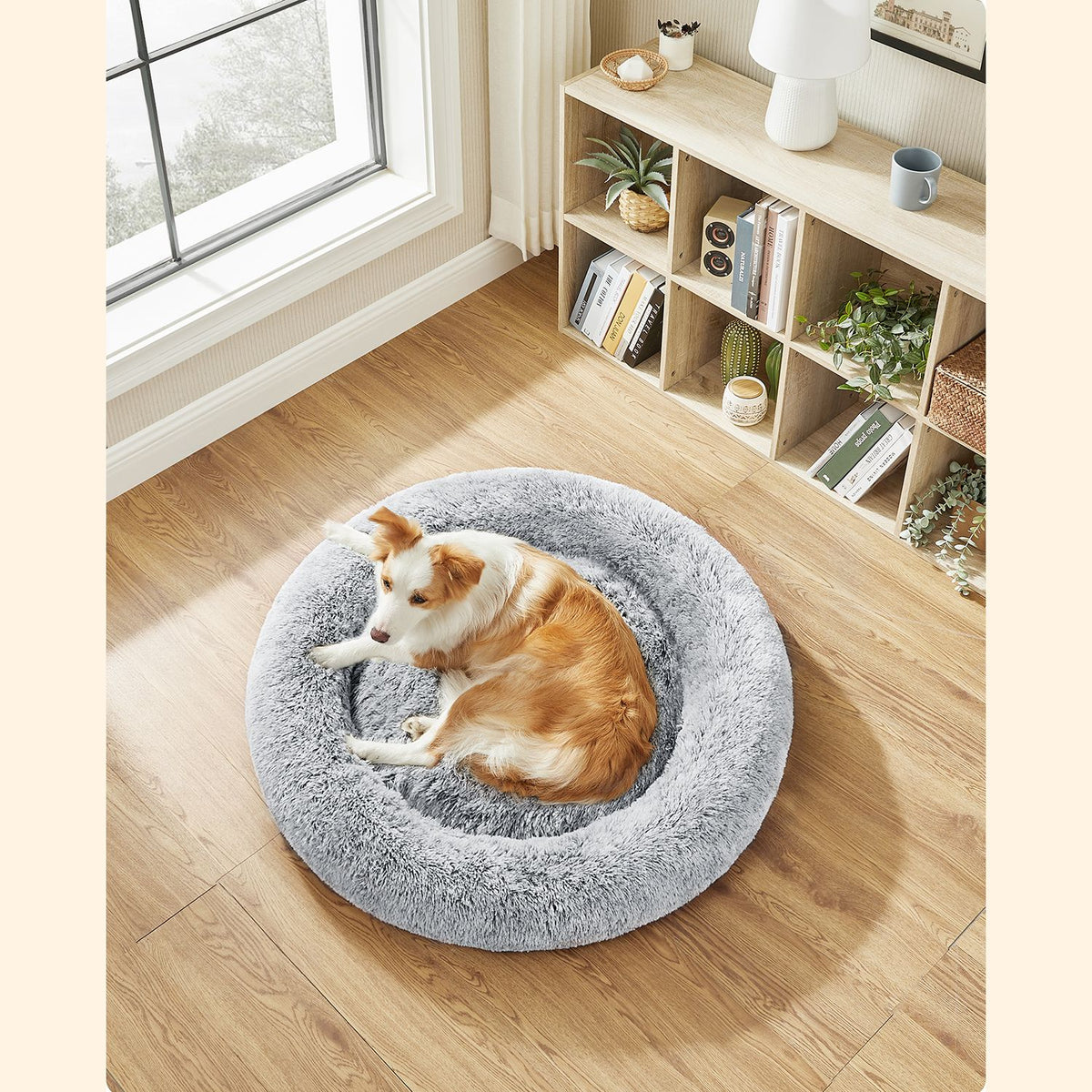 Donutförmiges Hundebett – Extra weich und bequem