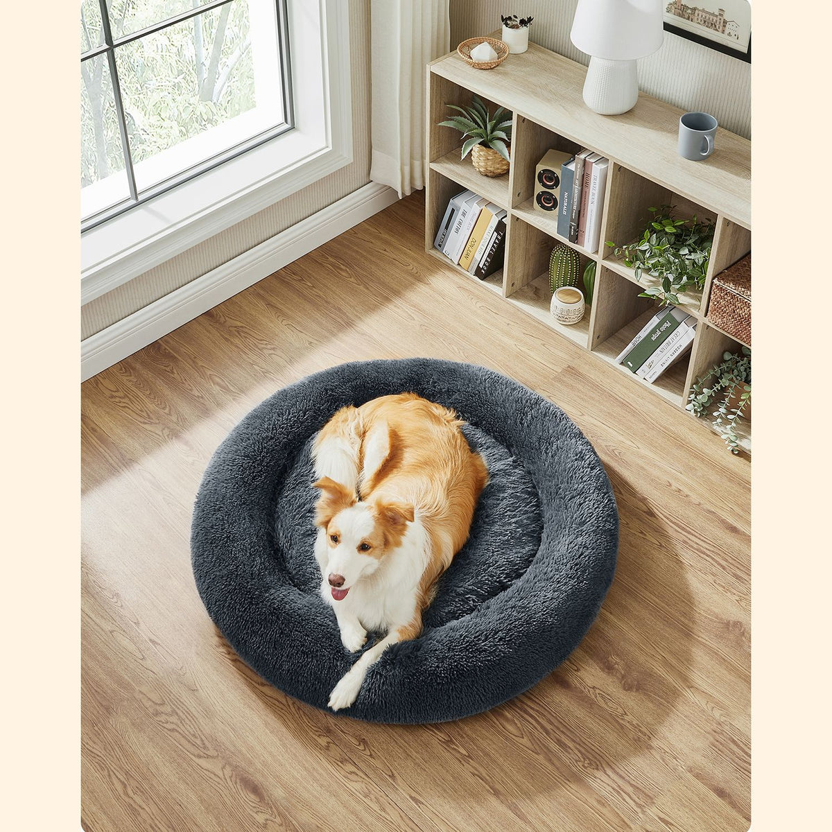 Donutförmiges Hundebett – Extra weich und bequem