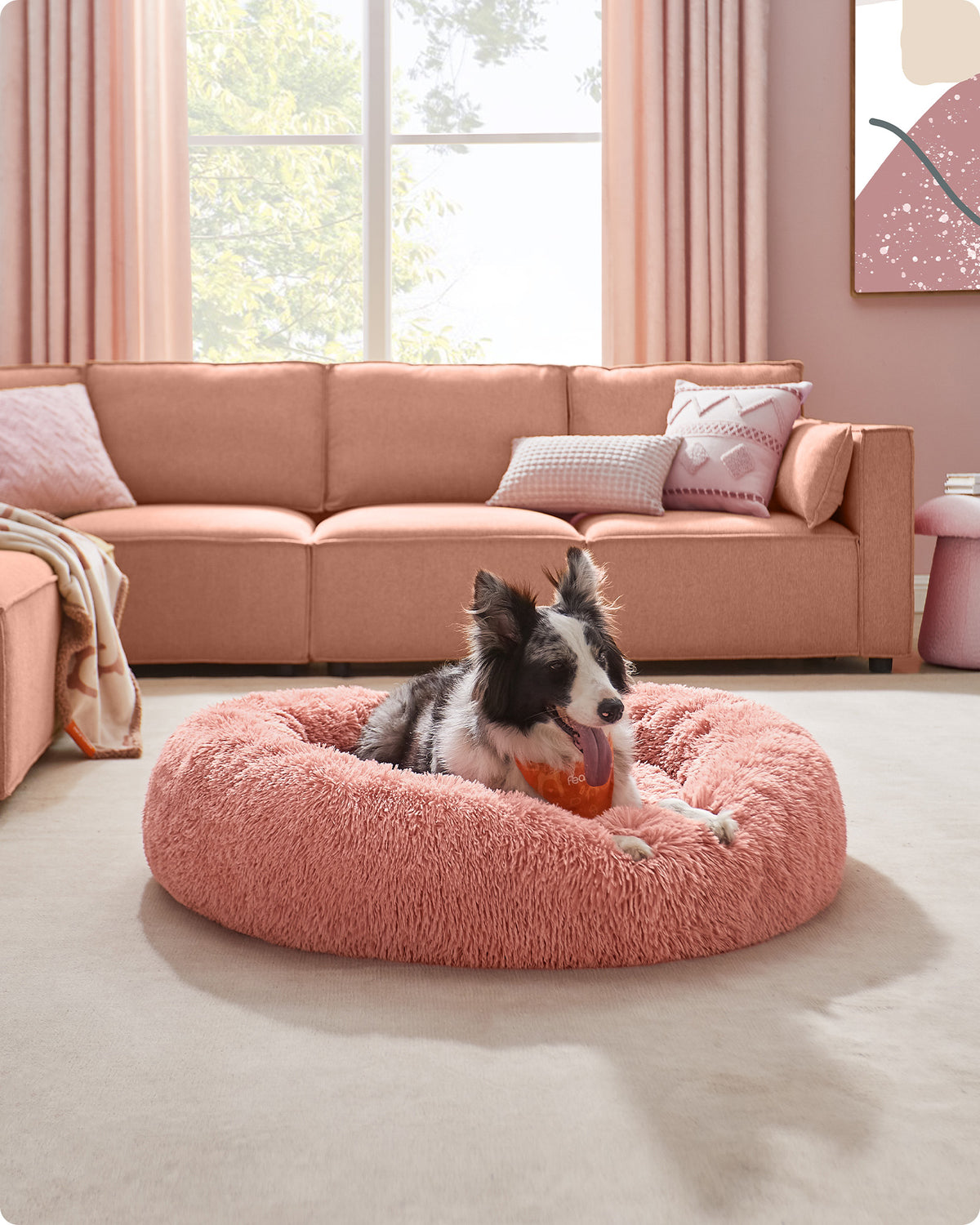 Donutförmiges Hundebett – Extra weich und bequem
