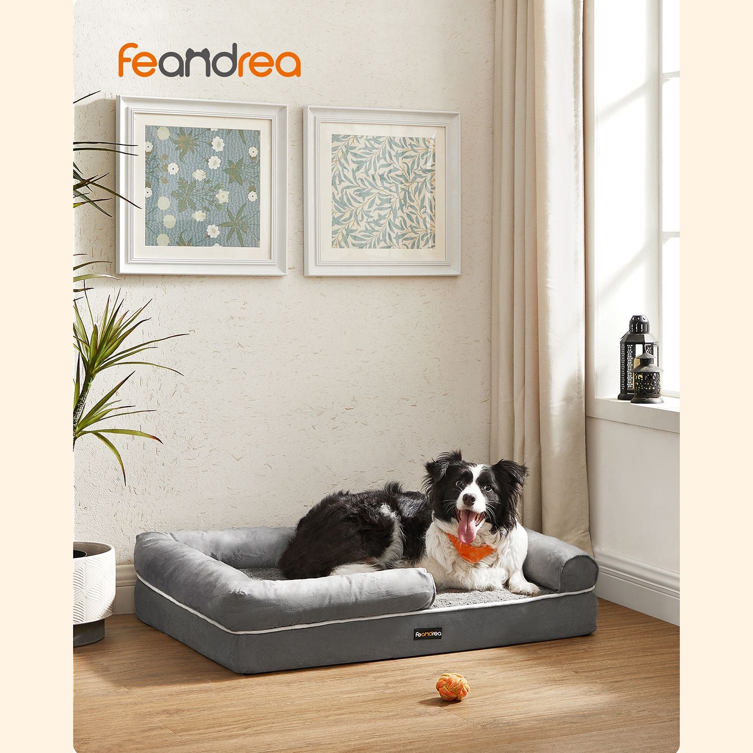 Bequemes Hundebett mit erhöhtem Rand - Hundekorb
