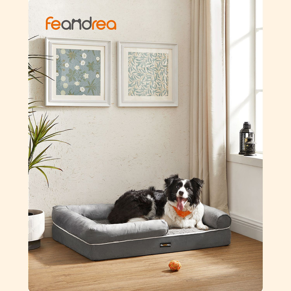 Bequemes Hundebett mit erhöhtem Rand - Hundekorb