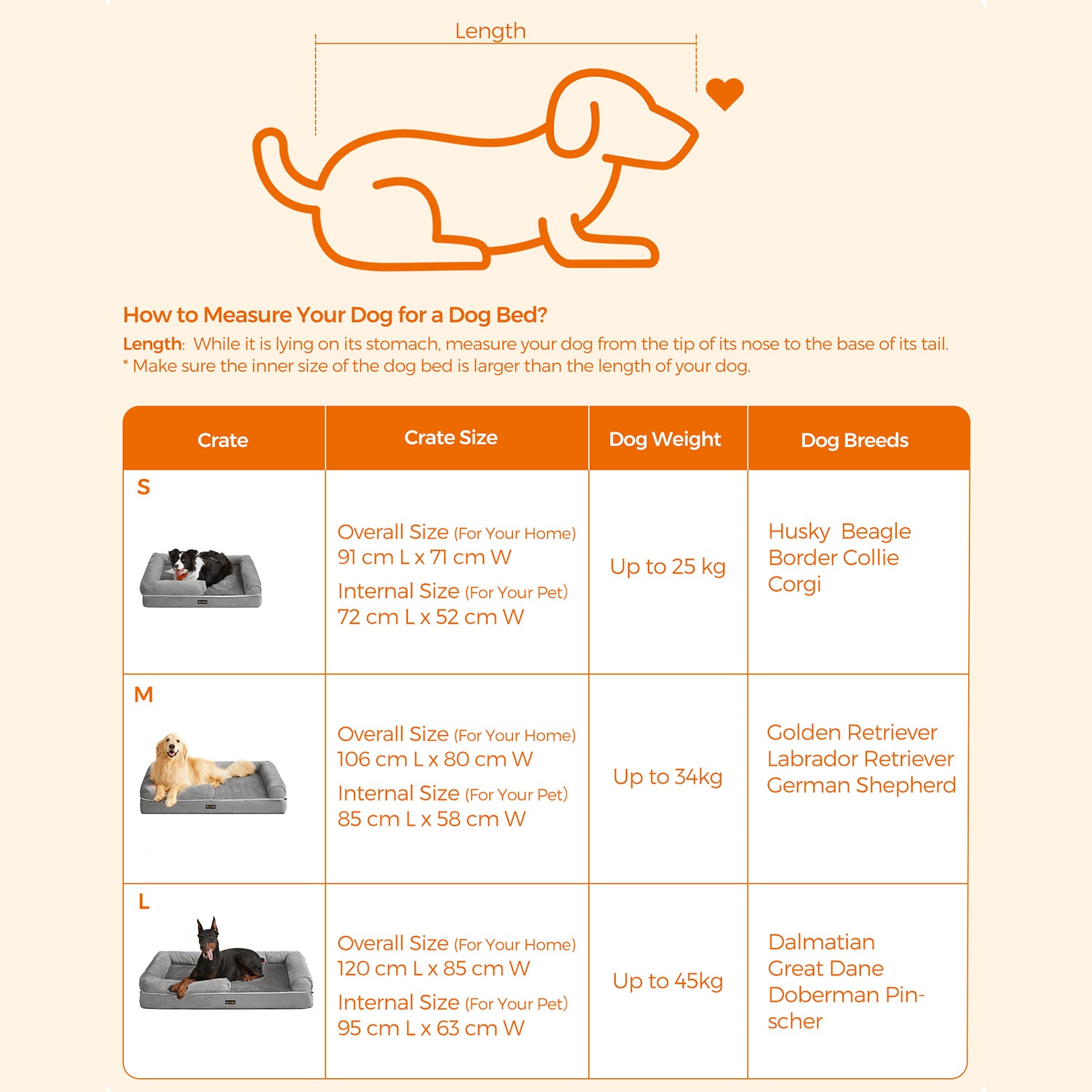 Bequemes Hundebett mit erhöhtem Rand - Hundekorb