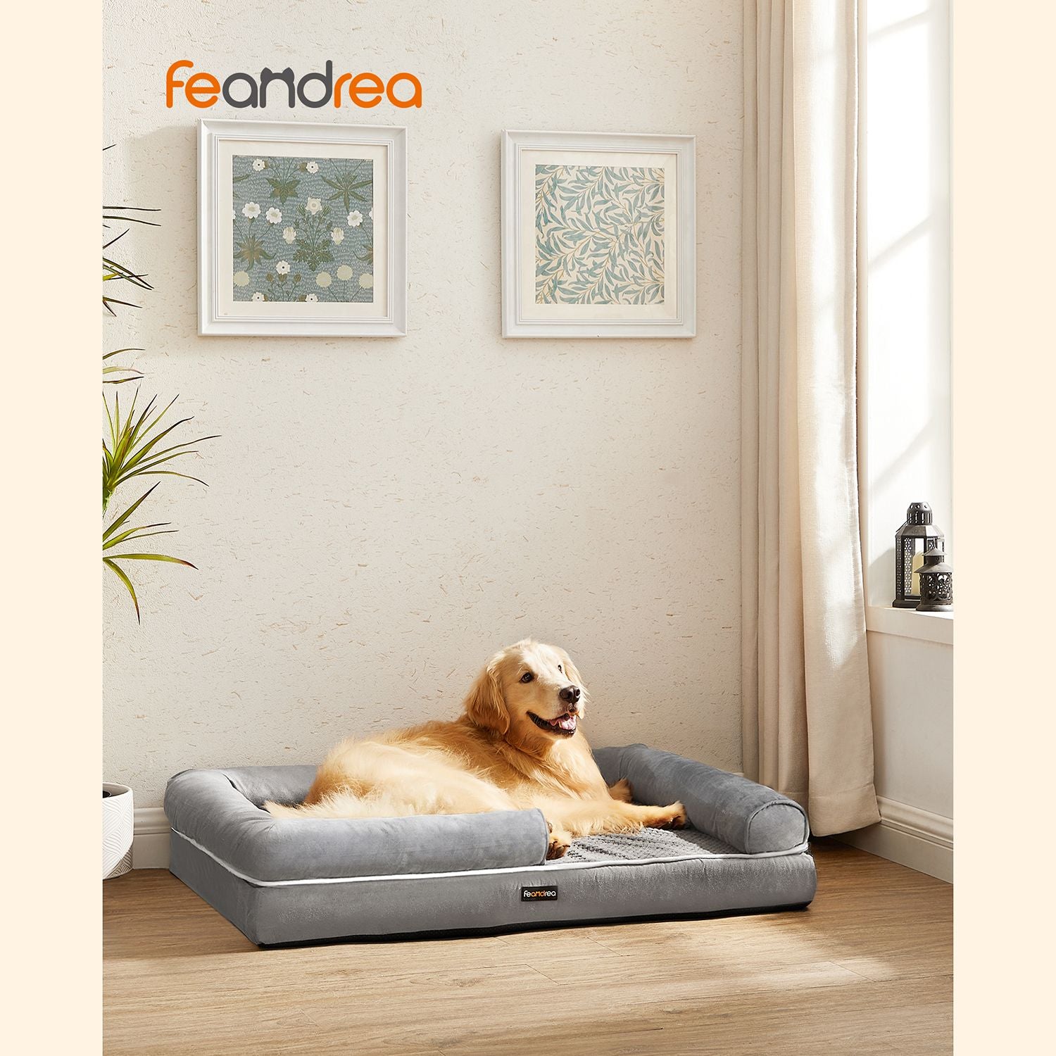 Bequemes Hundebett mit erhöhtem Rand - Hundekorb