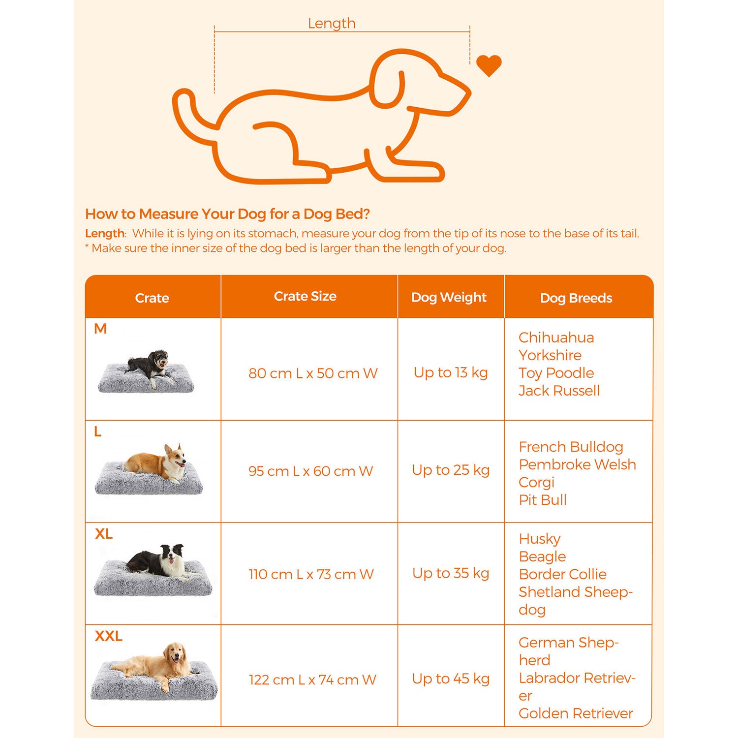 Weiches und vielseitiges Hundekissen – 10 cm dick