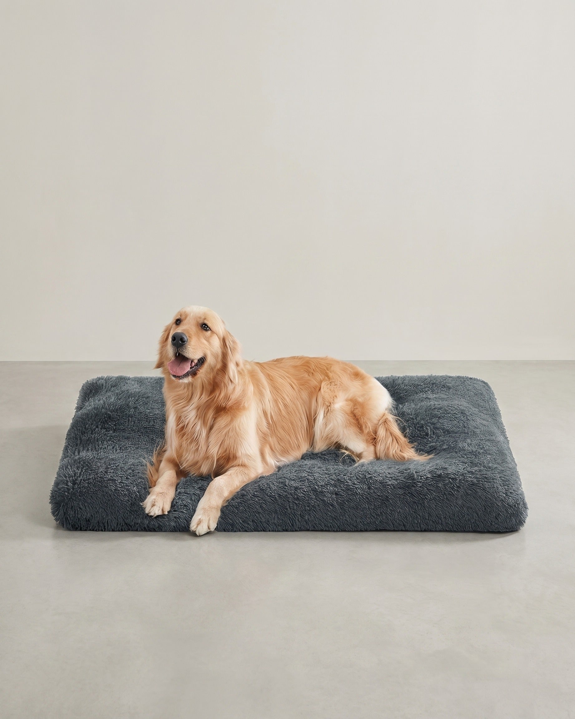 Weiches und vielseitiges Hundekissen – 10 cm dick – Dunkelgrau