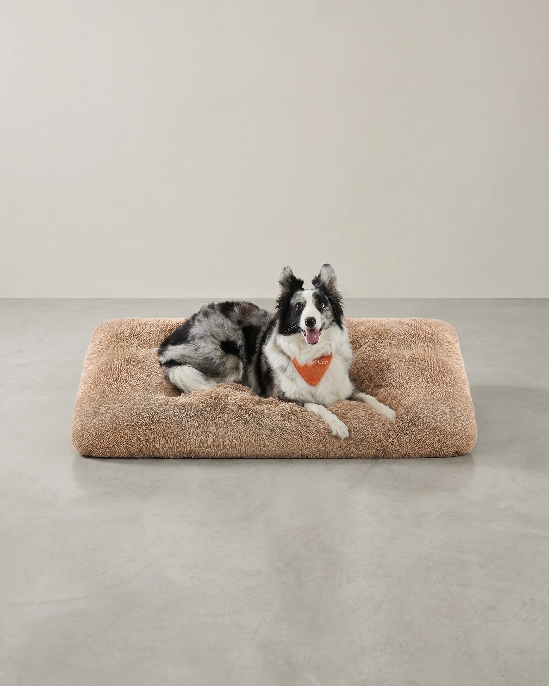 Weiches und vielseitiges Hundekissen – 10 cm dick – Braun