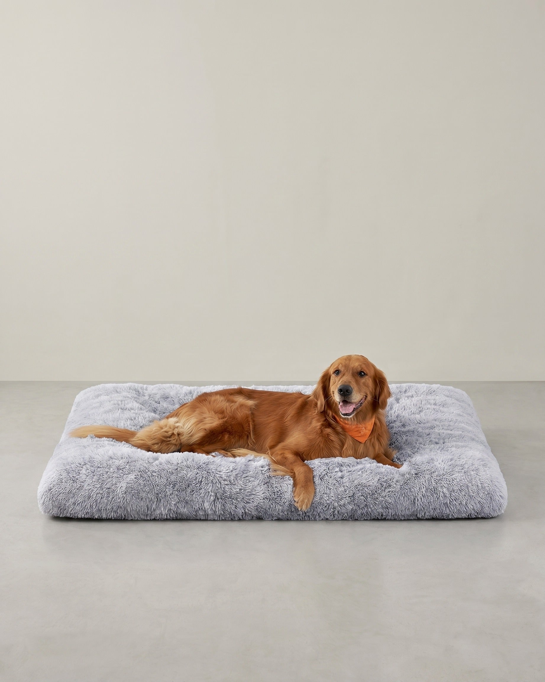 Weiches und vielseitiges Hundekissen – 10 cm dick – Grau