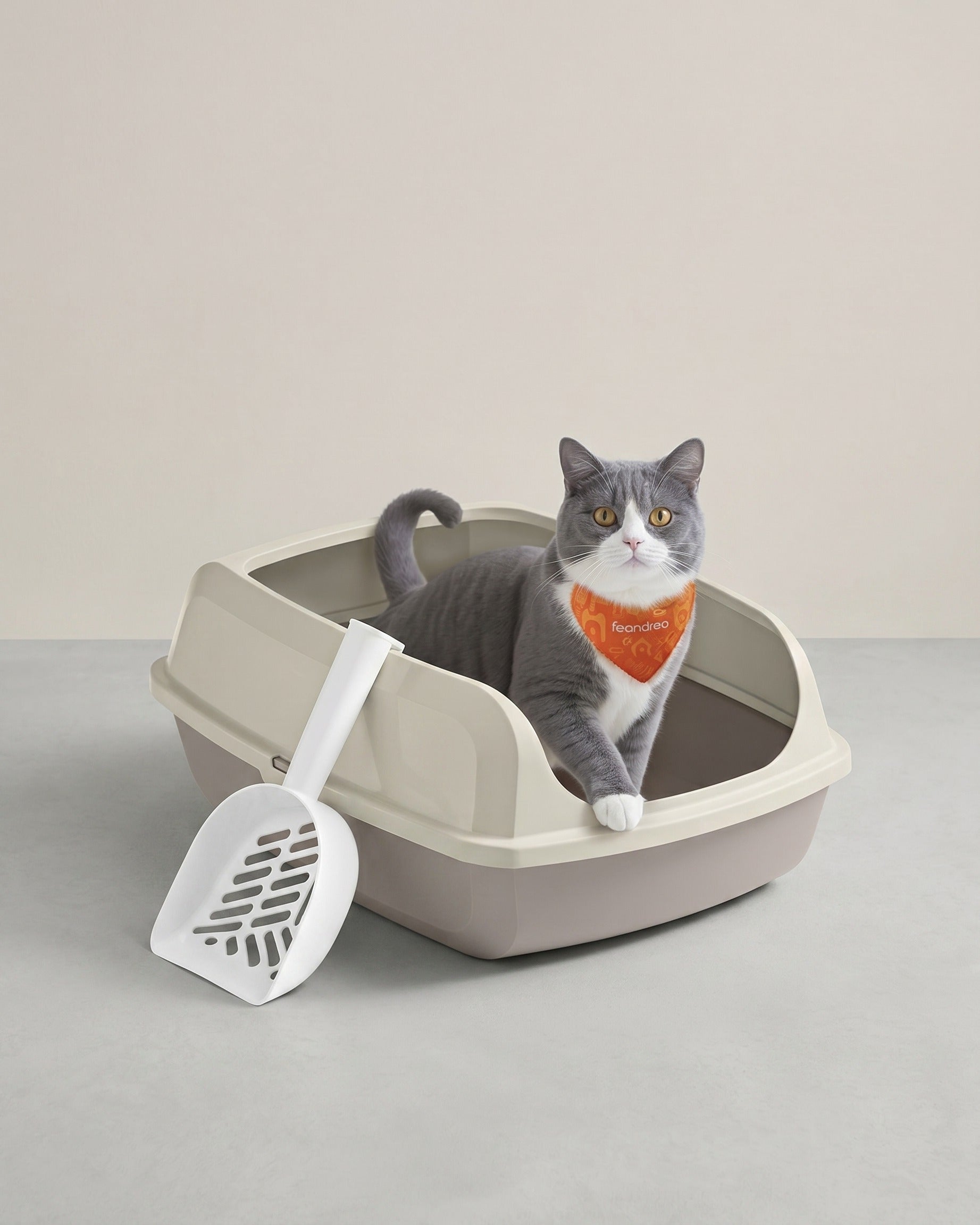 Katzentoilette XL – Offene Oberseite – Hohe Seitenwände – Mit Schaufel – Leicht zu reinigen – Geeignet für große Katzen