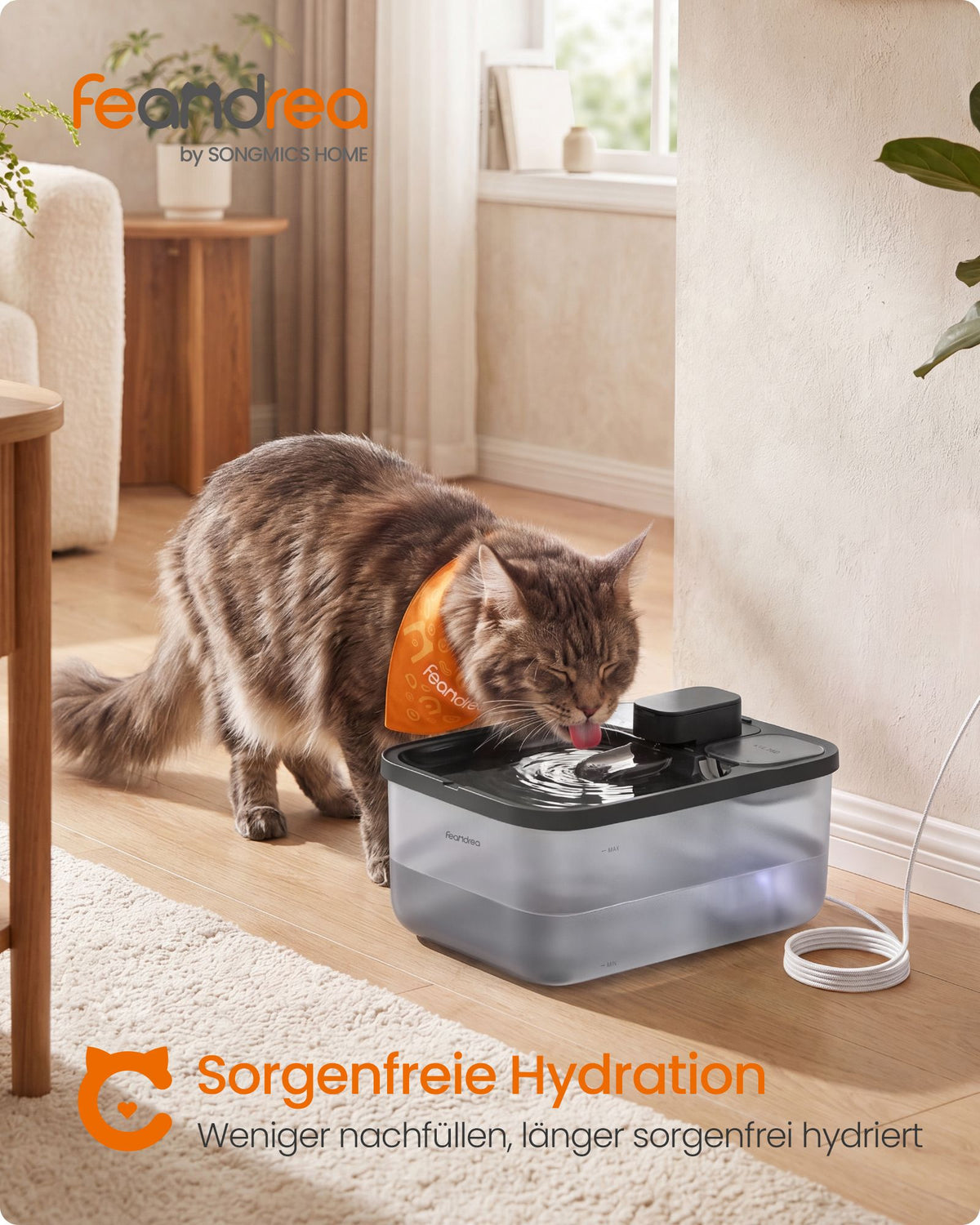 Trinkbrunnen Für Katzen - Flüsterleise - Mit Dreifachem Filtersystem
