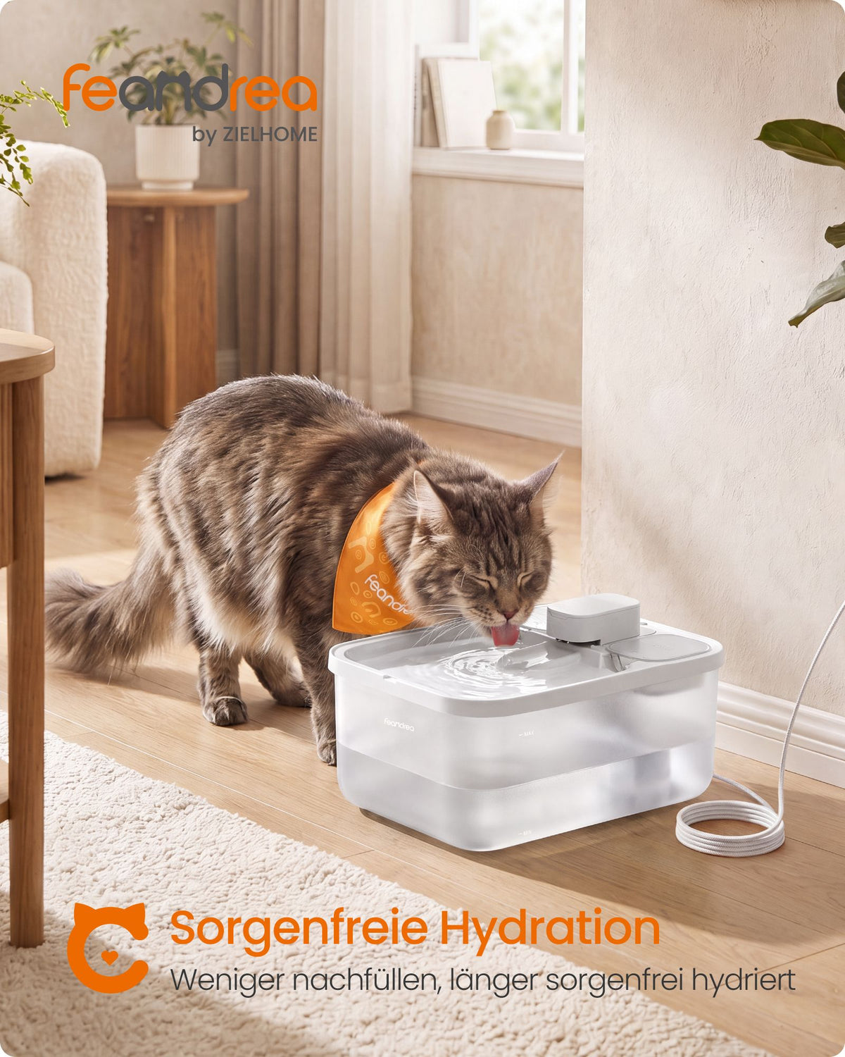 Trinkbrunnen Für Katzen - Flüsterleise - Mit Dreifachem Filtersystem