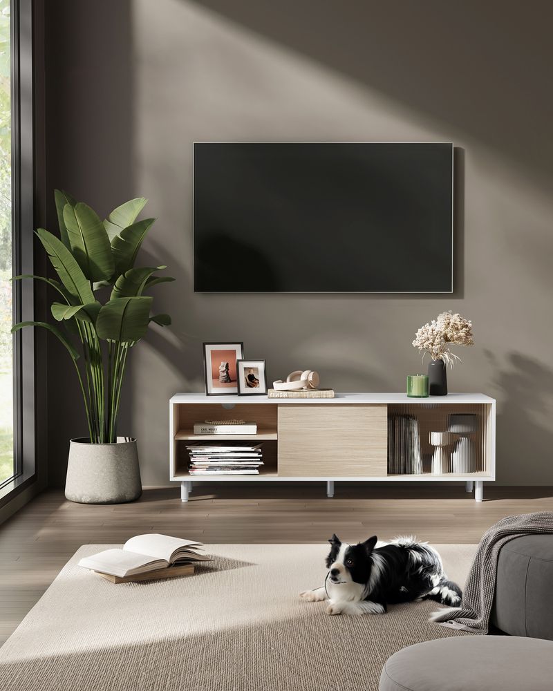 Moderne TV - meubel - Kast - Zwart / Wit - De Vries Meubels